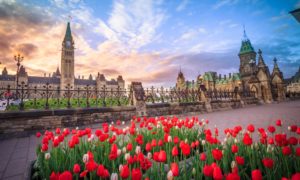 Canada sports betting passes House