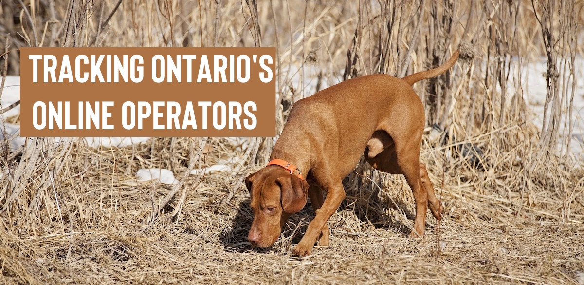 Ontario's online gambling market is home to the highest number of live operators in North America. Here's how you keep track of them all.