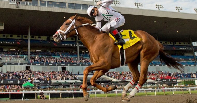 Caitilinhergrtness 2024 King's Plate at Woodbine on Aug. 23, 2024. For 20 years, horse racing has offered legal, common betting pools beyond Ontario's borders. It could be a precedent for poker and DFS.